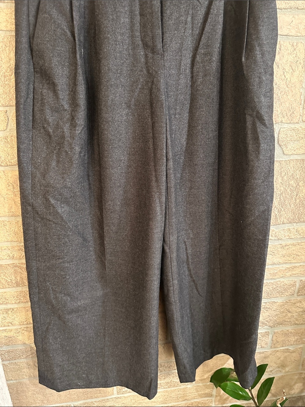 J.Crew Crop Wide Leg Flannel pleated 100% Wool Pants Trousers size 4 - Picture 4 of 8